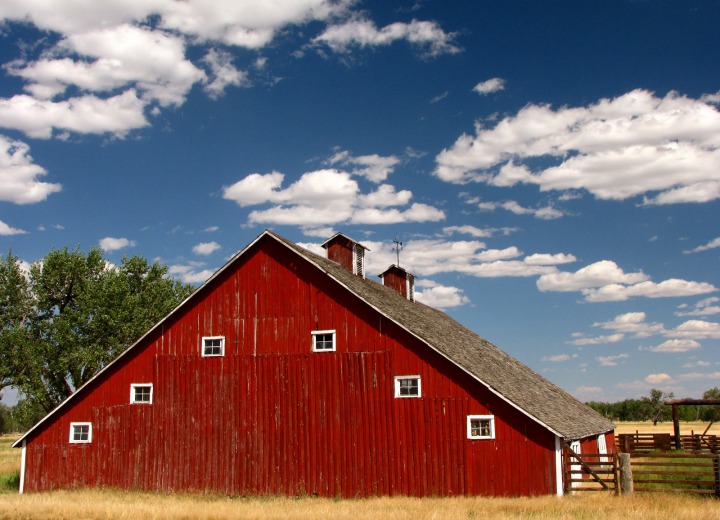 Red Barn In the Cottonwood Bottoms