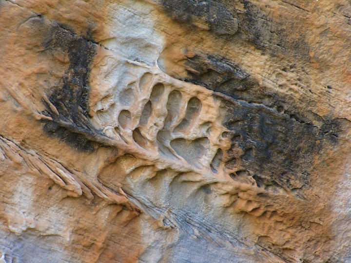 Stone Flows In Red Canyon