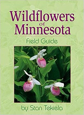 Minnesota wildflowers